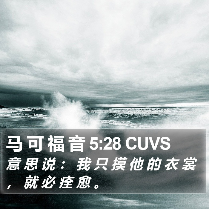 马 可 福 音 5:28 CUVS Bible Study