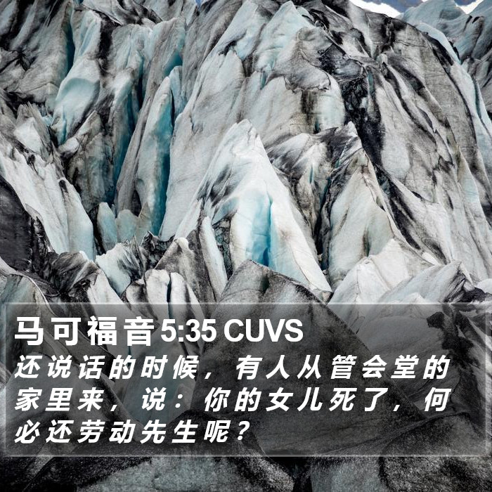 马 可 福 音 5:35 CUVS Bible Study