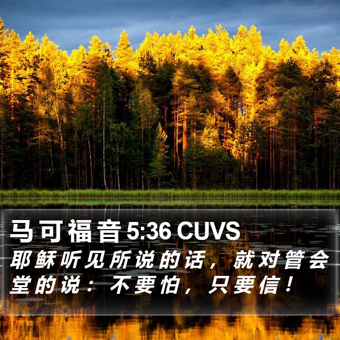马 可 福 音 5:36 CUVS Bible Study