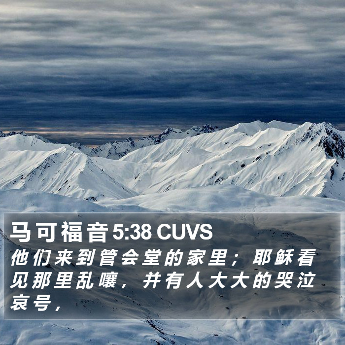 马 可 福 音 5:38 CUVS Bible Study