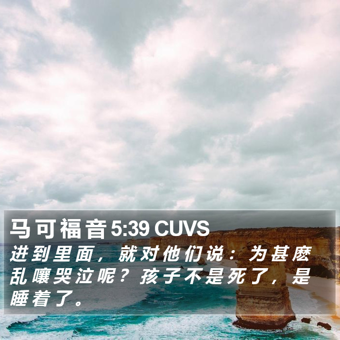 马 可 福 音 5:39 CUVS Bible Study
