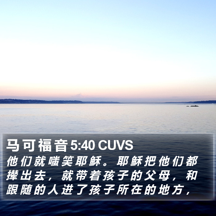 马 可 福 音 5:40 CUVS Bible Study