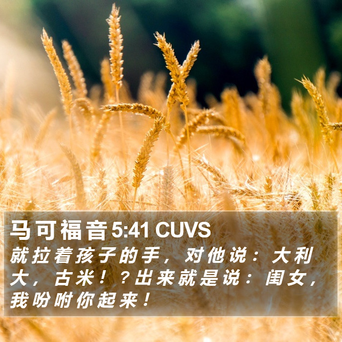 马 可 福 音 5:41 CUVS Bible Study