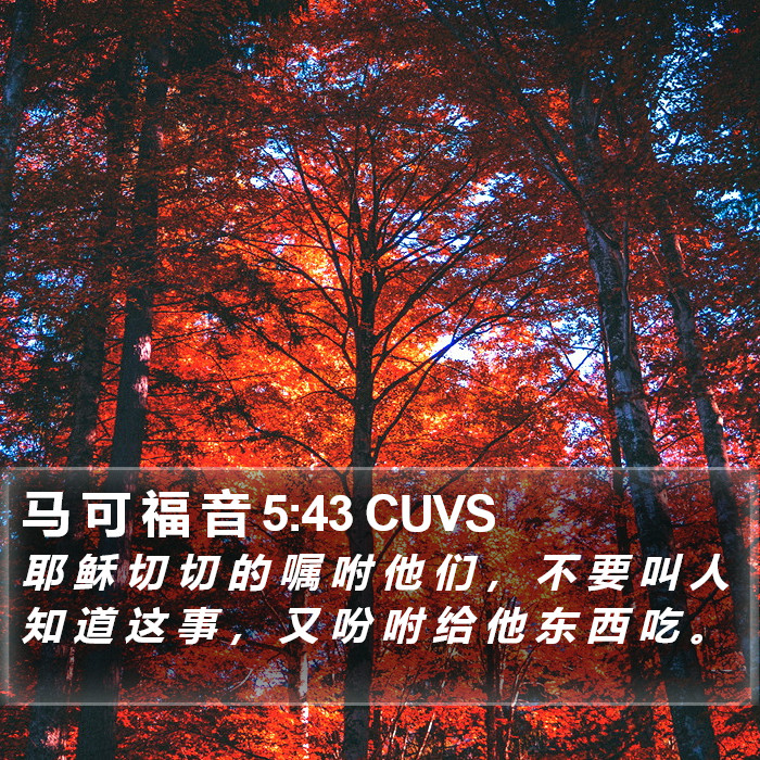 马 可 福 音 5:43 CUVS Bible Study