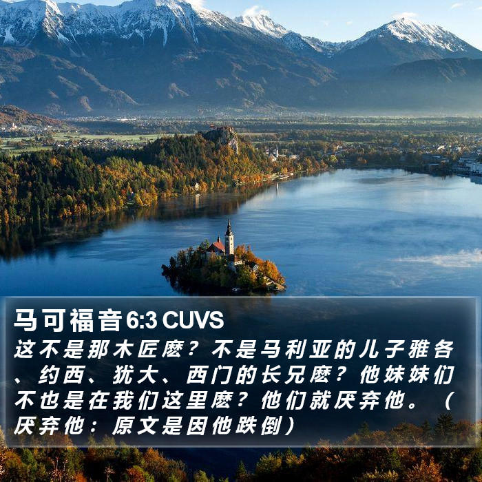 马 可 福 音 6:3 CUVS Bible Study