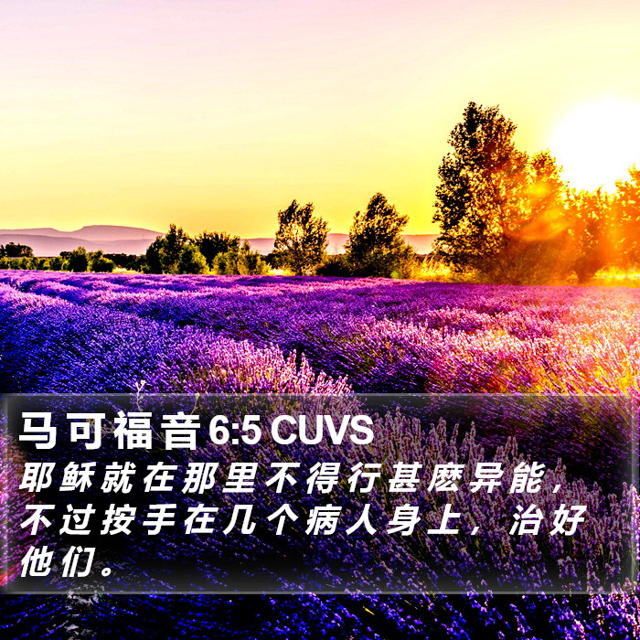 马 可 福 音 6:5 CUVS Bible Study