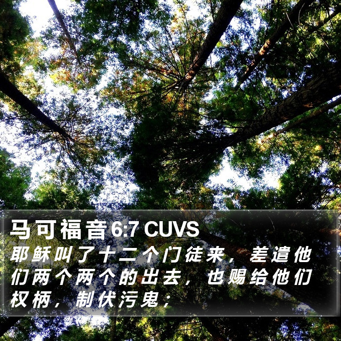 马 可 福 音 6:7 CUVS Bible Study