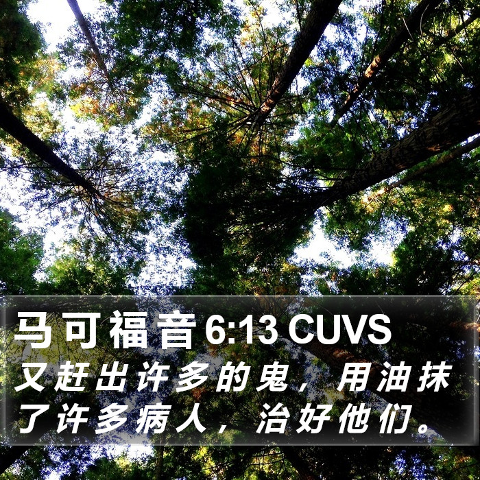 马 可 福 音 6:13 CUVS Bible Study