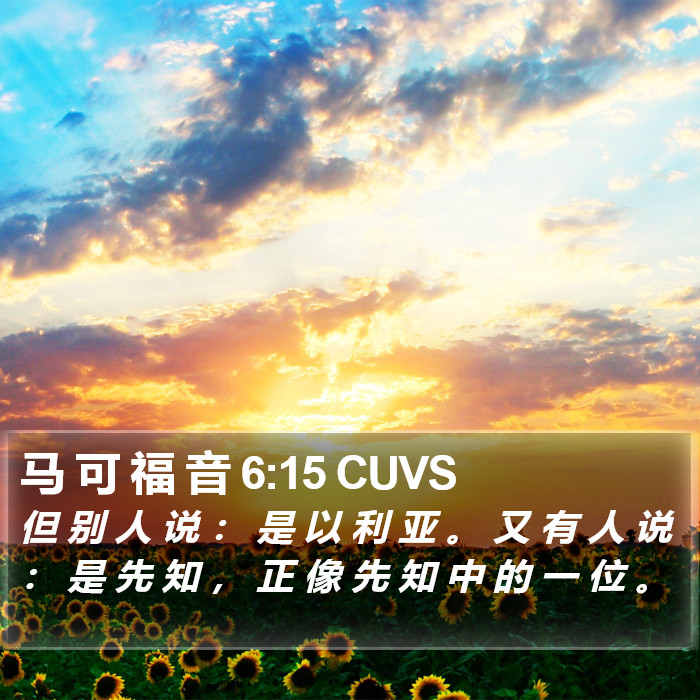 马 可 福 音 6:15 CUVS Bible Study