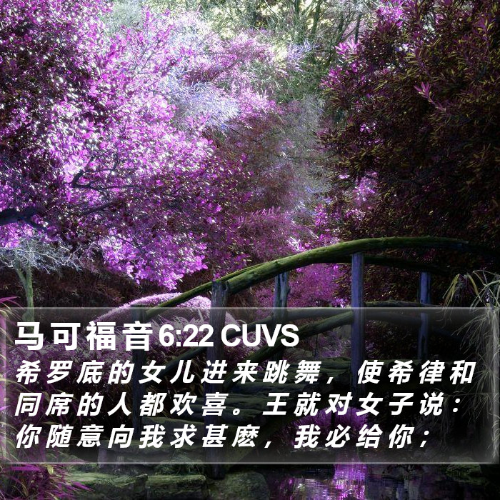 马 可 福 音 6:22 CUVS Bible Study