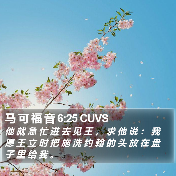 马 可 福 音 6:25 CUVS Bible Study