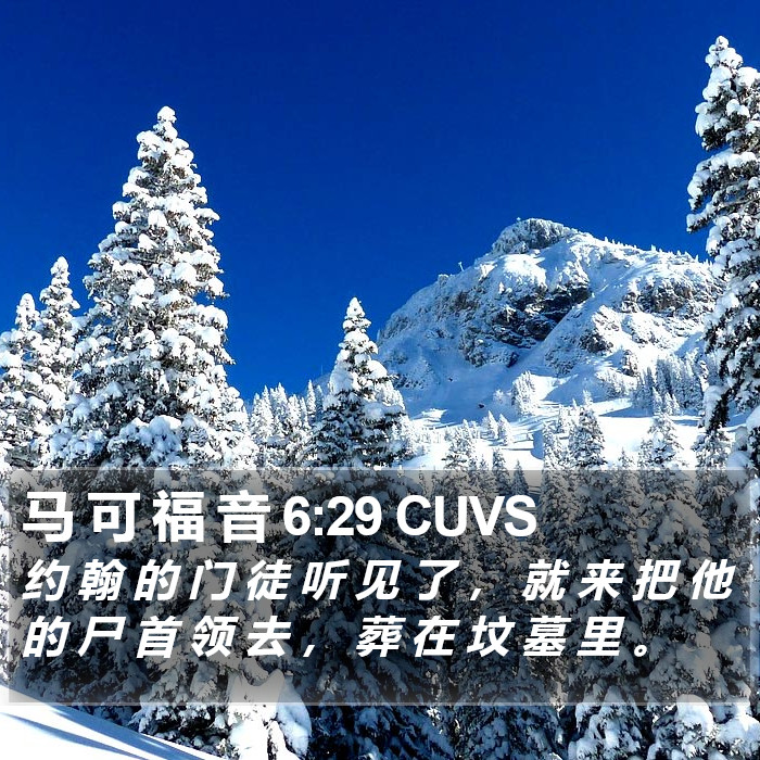 马 可 福 音 6:29 CUVS Bible Study