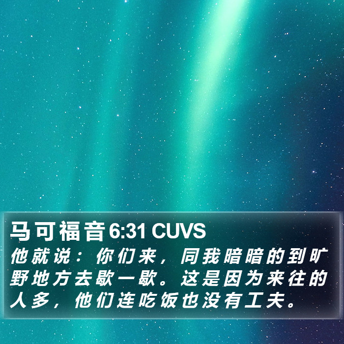 马 可 福 音 6:31 CUVS Bible Study