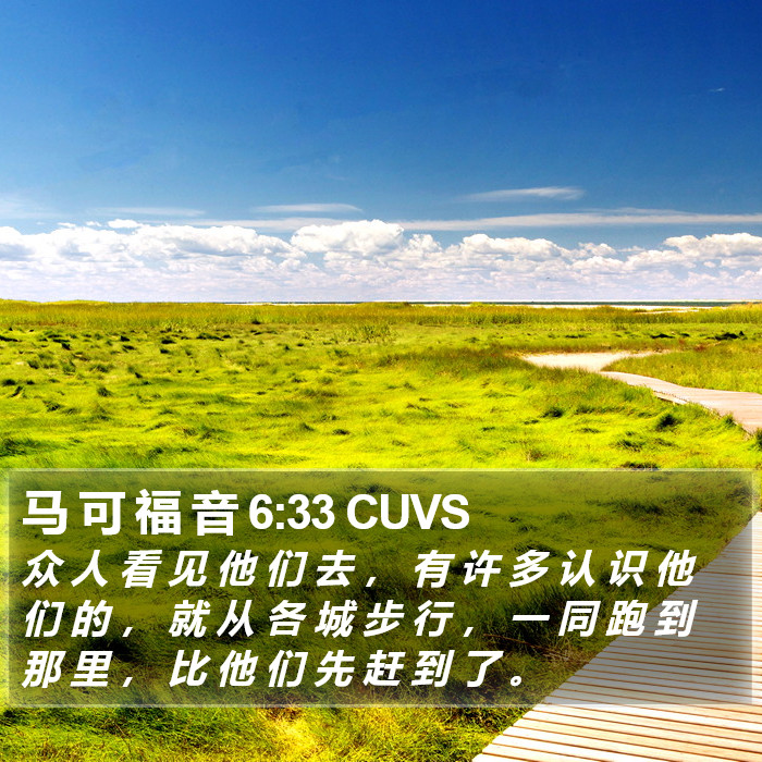 马 可 福 音 6:33 CUVS Bible Study