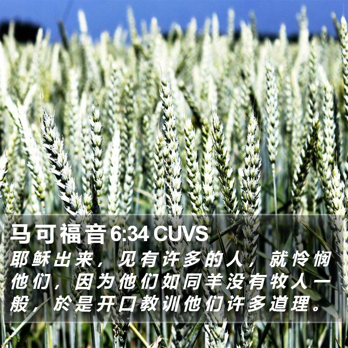 马 可 福 音 6:34 CUVS Bible Study