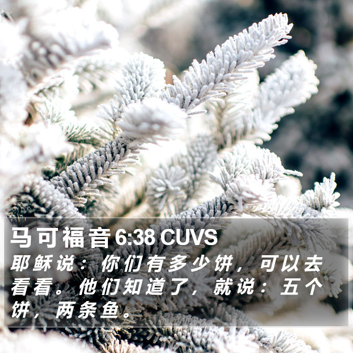 马 可 福 音 6:38 CUVS Bible Study