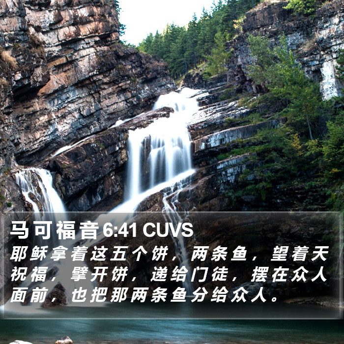 马 可 福 音 6:41 CUVS Bible Study