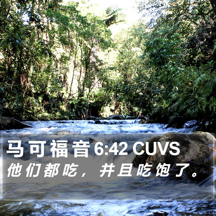 马 可 福 音 6:42 CUVS Bible Study