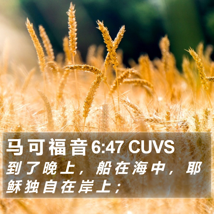 马 可 福 音 6:47 CUVS Bible Study