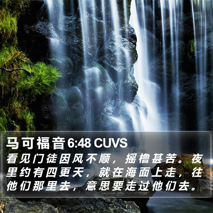 马 可 福 音 6:48 CUVS Bible Study