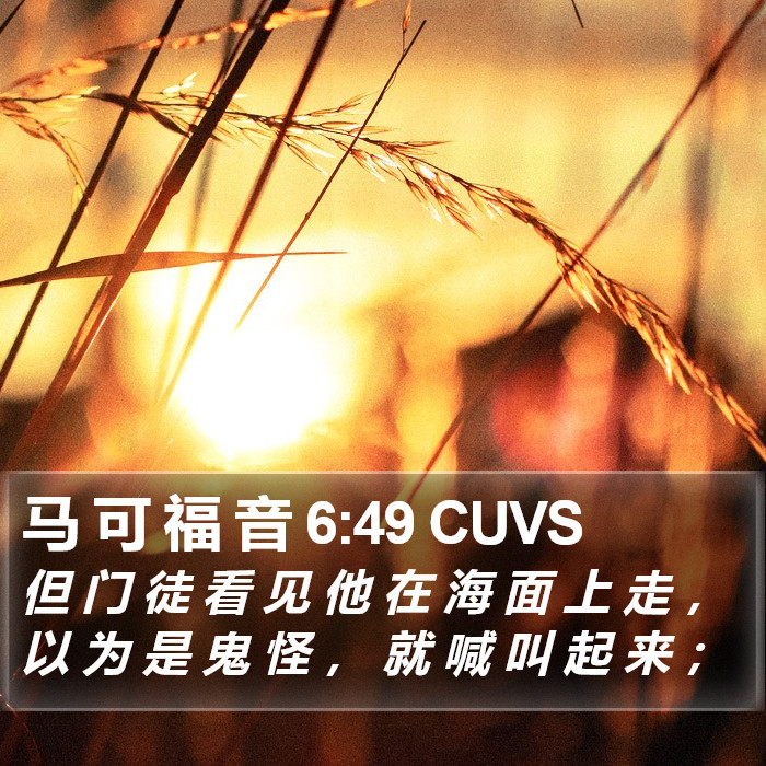 马 可 福 音 6:49 CUVS Bible Study