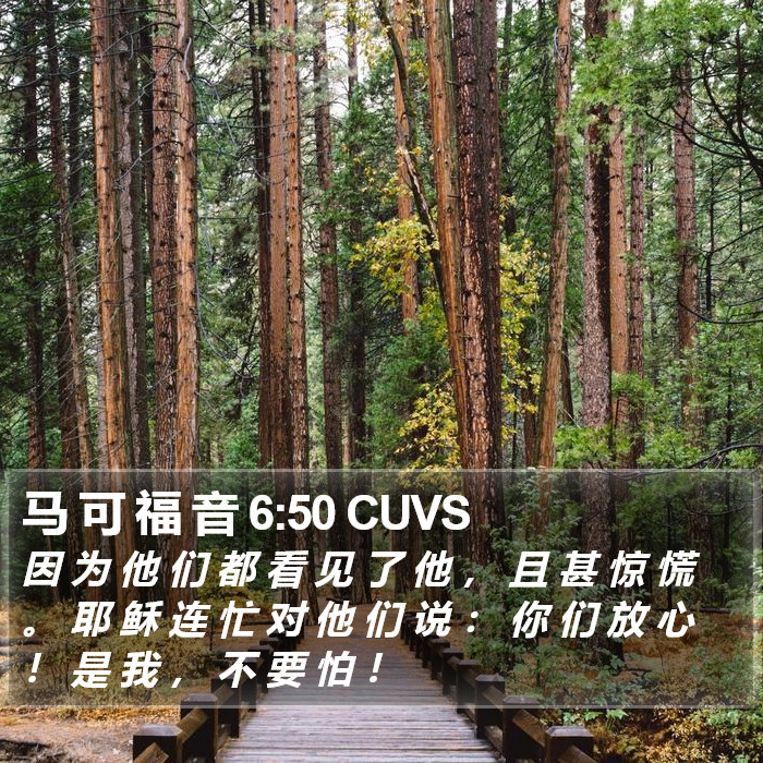 马 可 福 音 6:50 CUVS Bible Study