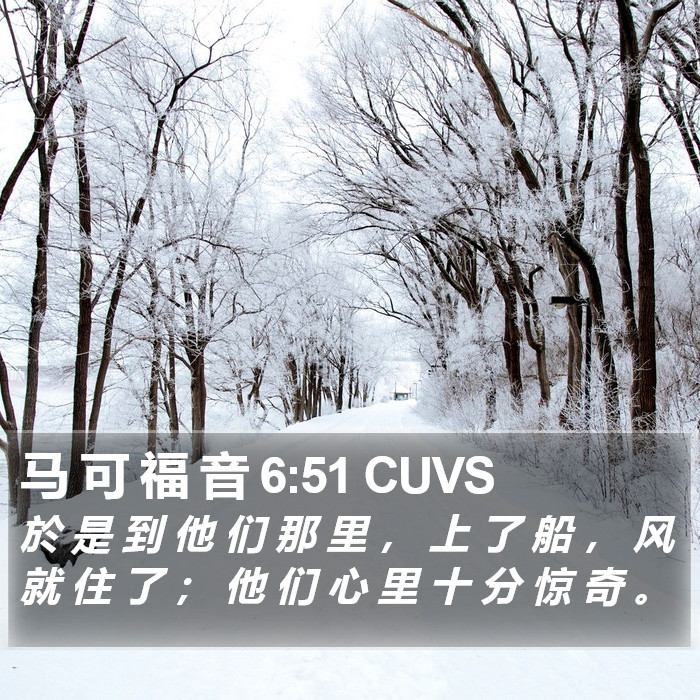 马 可 福 音 6:51 CUVS Bible Study