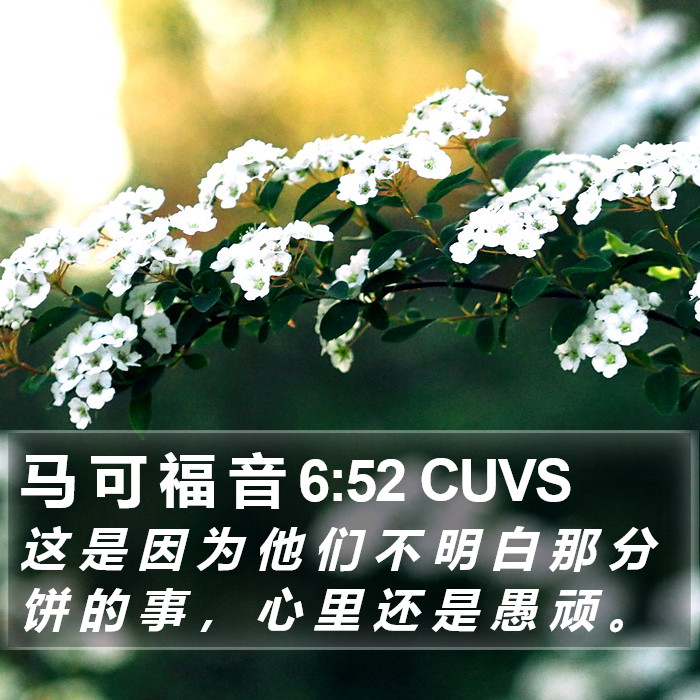 马 可 福 音 6:52 CUVS Bible Study