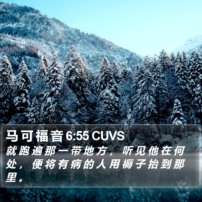 马 可 福 音 6:55 CUVS Bible Study