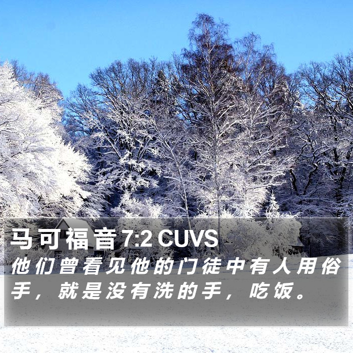 马 可 福 音 7:2 CUVS Bible Study