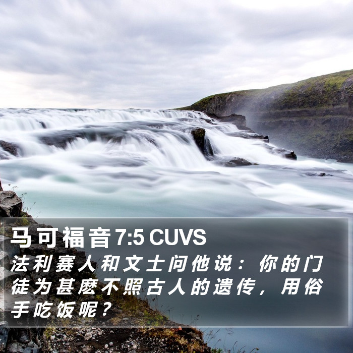 马 可 福 音 7:5 CUVS Bible Study