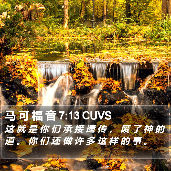 马 可 福 音 7:13 CUVS Bible Study