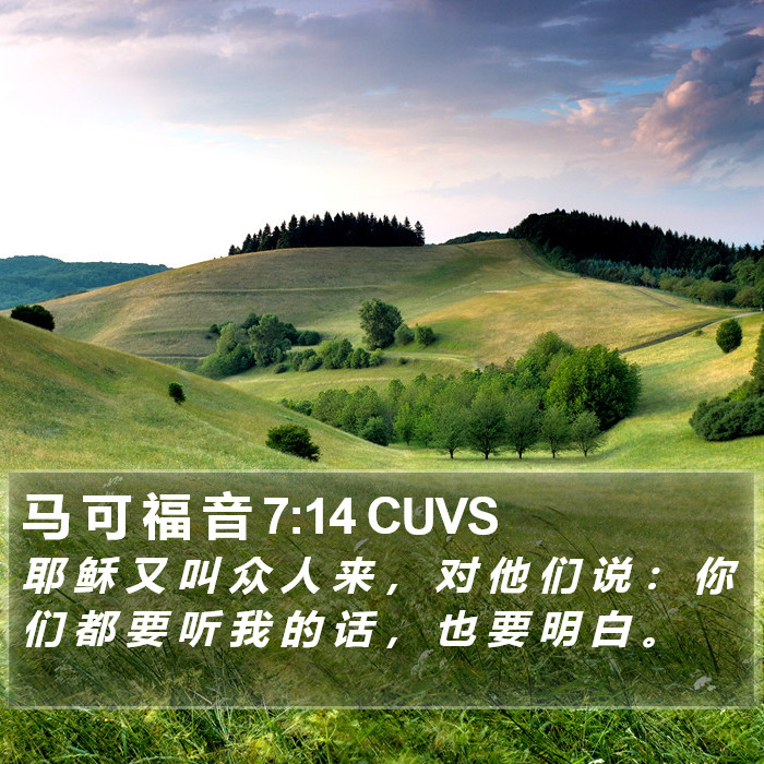 马 可 福 音 7:14 CUVS Bible Study