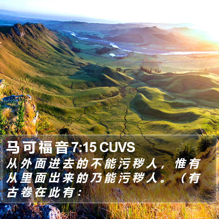 马 可 福 音 7:15 CUVS Bible Study