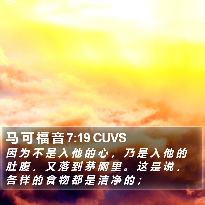 马 可 福 音 7:19 CUVS Bible Study