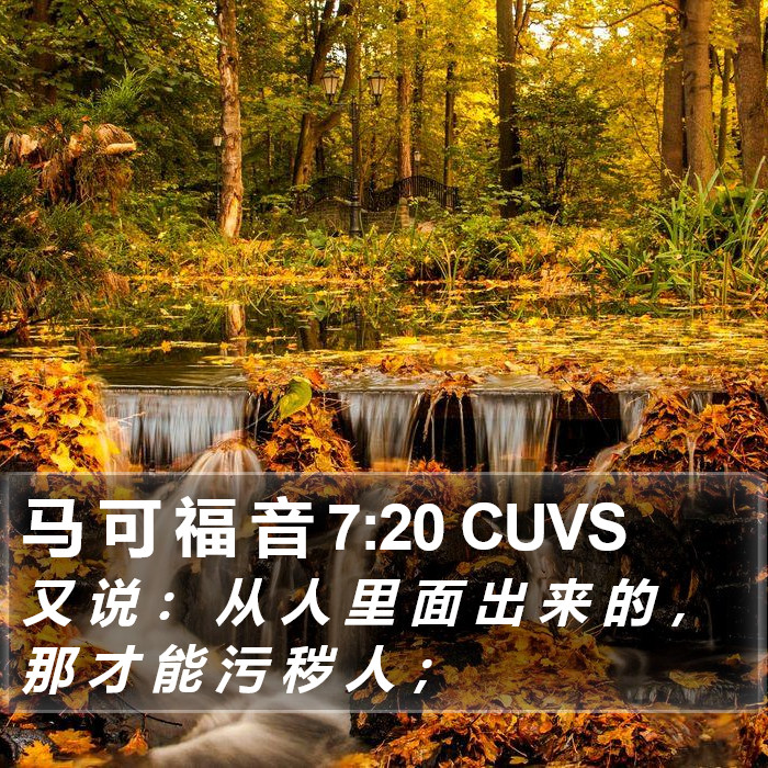 马 可 福 音 7:20 CUVS Bible Study