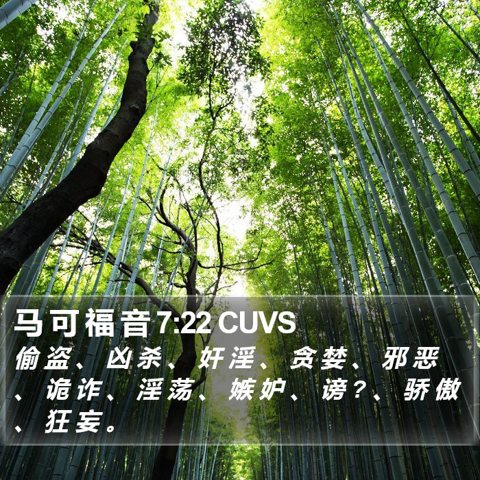 马 可 福 音 7:22 CUVS Bible Study