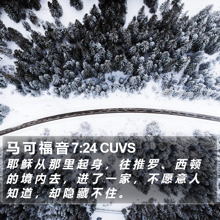 马 可 福 音 7:24 CUVS Bible Study