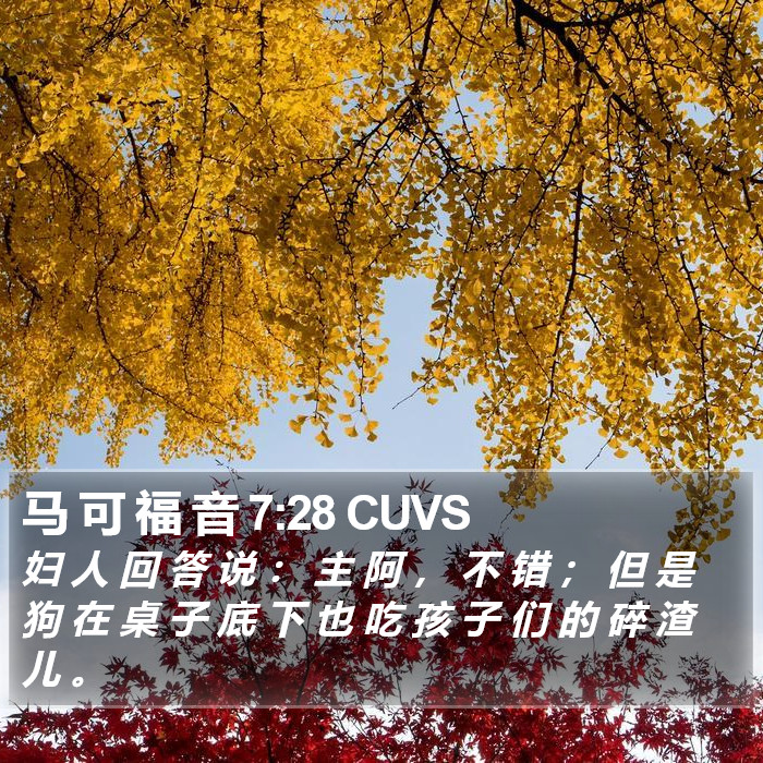 马 可 福 音 7:28 CUVS Bible Study