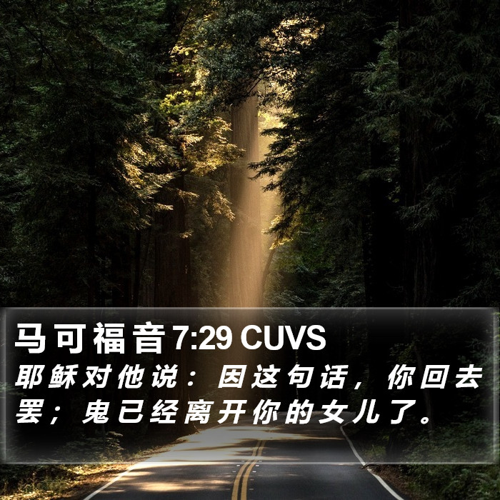 马 可 福 音 7:29 CUVS Bible Study