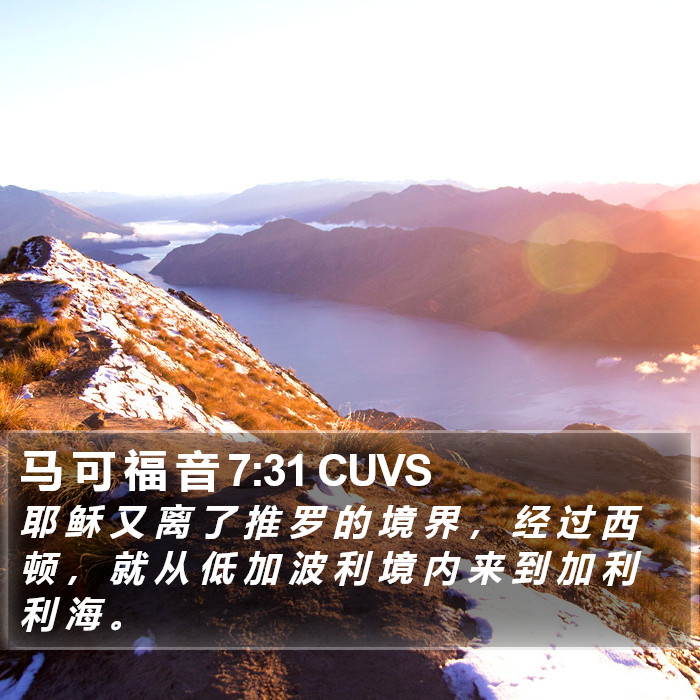 马 可 福 音 7:31 CUVS Bible Study