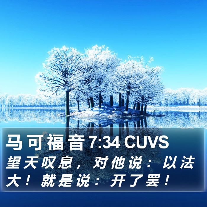 马 可 福 音 7:34 CUVS Bible Study