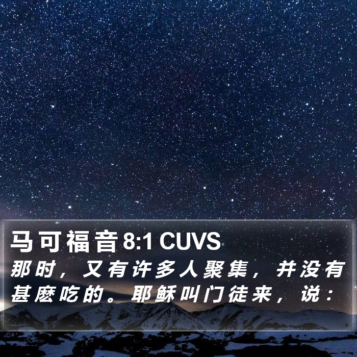 马 可 福 音 8:1 CUVS Bible Study