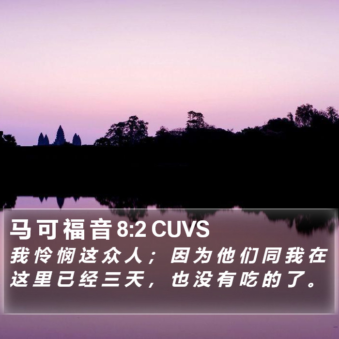 马 可 福 音 8:2 CUVS Bible Study