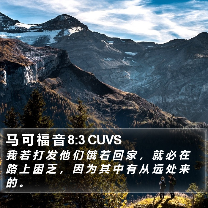 马 可 福 音 8:3 CUVS Bible Study