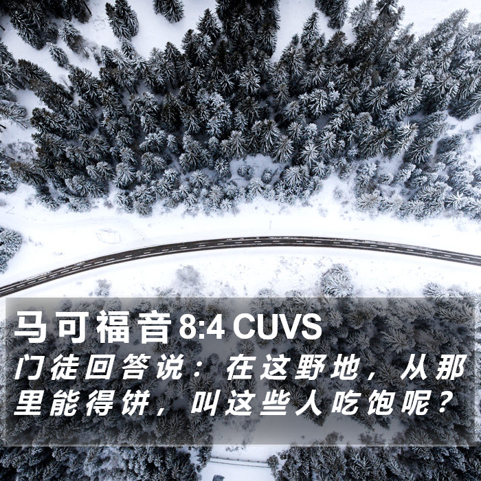 马 可 福 音 8:4 CUVS Bible Study