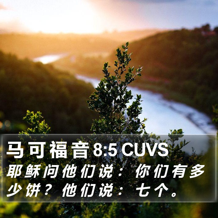 马 可 福 音 8:5 CUVS Bible Study