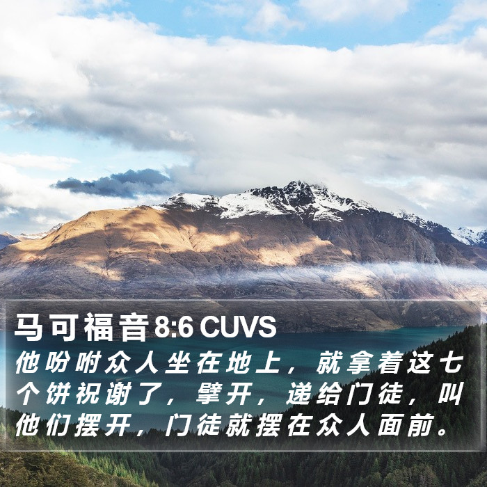 马 可 福 音 8:6 CUVS Bible Study