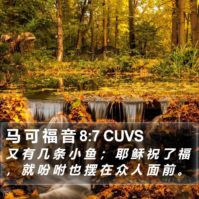 马 可 福 音 8:7 CUVS Bible Study