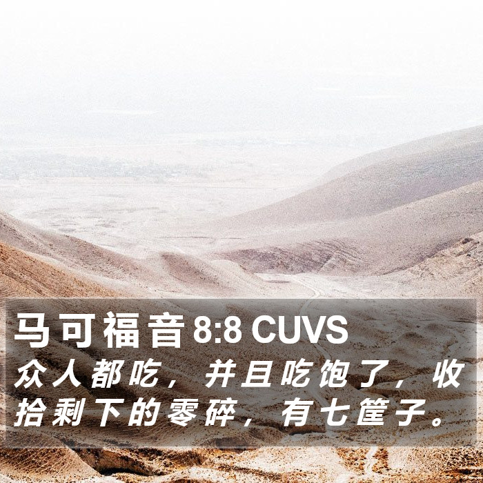 马 可 福 音 8:8 CUVS Bible Study